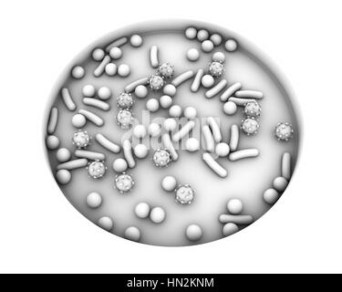 Boîte de Pétri avec les microbes, illustration de l'ordinateur. Image conceptuelle de diagnostic en laboratoire des maladies infectieuses. Banque D'Images