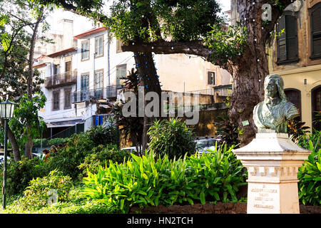 Jardin Jardin Municipal, Funchal, Madère Banque D'Images