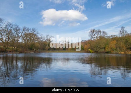 Park au Royaume-Uni avec un grand lac entouré d'arbres sans feuilles pendant l'hiver. Banque D'Images