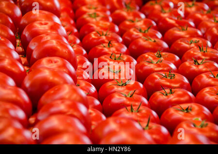 Close up de tomates rouges frais sur l'affichage à farmers market. Banque D'Images