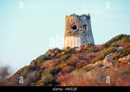 Tour côtière de Porto Giunco près de Villasimius, Sardaigne, Italie Banque D'Images