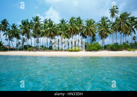 Plage tropicale et de cocotiers à Koh Samui, Thaïlande Banque D'Images