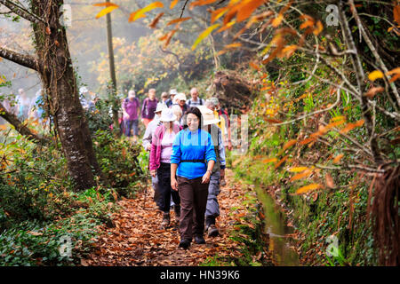 Levada à pied avec un groupe d'excursion à travers la forêt, de Madère Banque D'Images