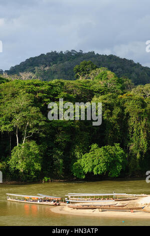 Aperçu de la jungle et la rivière dans le parc national de Taman Negara, Malaisie Banque D'Images