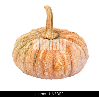 - Citrouille Cucurbita moschata. - Isolated on white Banque D'Images