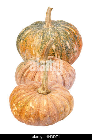 - Citrouille Cucurbita moschata. - Isolated on white Banque D'Images