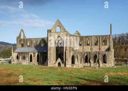 Abbaye de Tintern, vallée de la Wye, Monmouthshire, Wales Banque D'Images