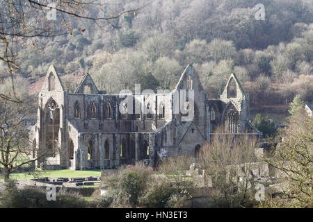 Abbaye de Tintern, vallée de la Wye, Monmouthshire, Wales Banque D'Images