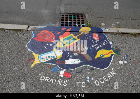 Couvercle vidange peints et surround, une partie du "drainage SmART Salem' projet d'art public dans la région de Salem, Massachusetts, United States. Banque D'Images