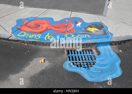 Couvercle vidange peints et surround, une partie du "drainage SmART Salem' projet d'art public dans la région de Salem, Massachusetts, United States. Banque D'Images