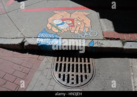 Couvercle vidange peints et surround, une partie du "drainage SmART Salem' projet d'art public dans la région de Salem, Massachusetts, United States. Banque D'Images