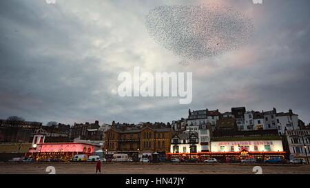 Scarborough, Royaume-Uni. 8 février 2017. Un étourneau murmuration sur la ville et le front de la plage du sud, à Scarborough. Chaque nuit, les résidents et les visiteurs profiter de la nature spectical. Crédit : Richard Smith/Alamy Live News Banque D'Images