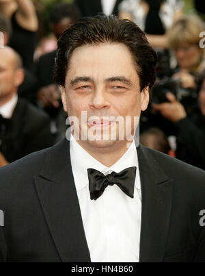 L'acteur Benicio Del Toro arrive au Palais des Festivals pour la première du film che lors de la 61e Festival International du Film de Cannes le 21 mai 2008 à Cannes, France. Photo par Francis Specker Banque D'Images