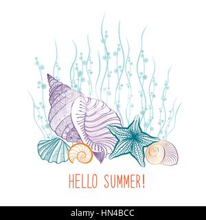 Vacances d'été. fond couvercle avec étoile de mer coquillage. hello Summer Greeting card. doodle vector illustration Illustration de Vecteur