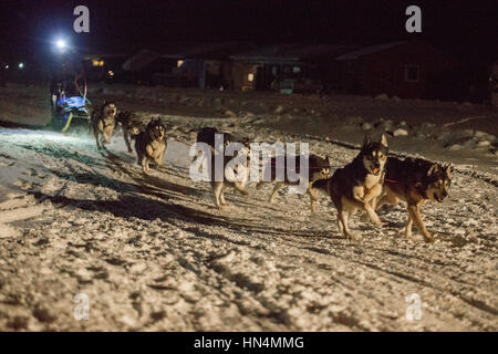 Un musher au début de la course de classe 150 - Nyborgmoen, la Norvège, le 3 février. 2017 Bergebyløpet - N70 ©Samuel Bay/VTHK Banque D'Images