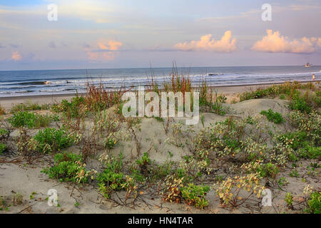 Lever du soleil sur les dunes de la plage at Kiawah Island, Caroline du Sud. Banque D'Images