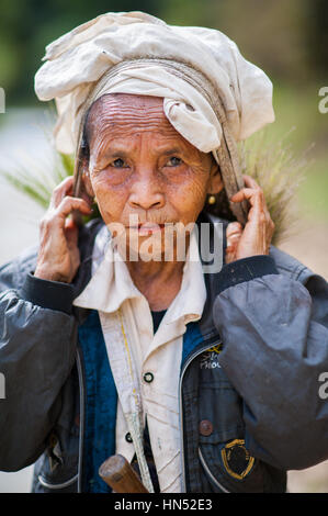 Femme d'un aîné au Laos travaillant dans le secteur. Banque D'Images