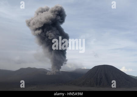 Forme des volcans en Indonésie. Gunung volcan Bromo dans l'éruption du temps (mars 2011). - Bromo Tengger Semeru - Parc National. Jawa est Banque D'Images