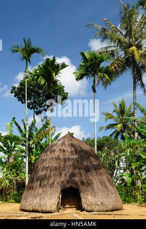 Indonésie le pays de chasseurs de têtes - côté village minoritaire sur l'île de Timor près de SOE. Hutte traditionnelle. Nusa Tenggara. Banque D'Images