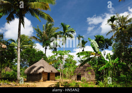 Indonésie le pays de chasseurs de têtes - côté village minoritaire sur l'île de Timor près de SOE. Hutte traditionnelle. Nusa Tenggara. Banque D'Images