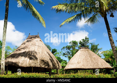 Maison de paille dans le village ethnique sur une île de Timor Banque D'Images