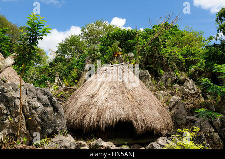 Maison de paille dans le village ethnique sur une île de Timor Banque D'Images