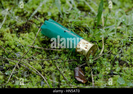 Cartouches de fusil cartouche de munitions vides laissés par les chasseurs en campagne, Espagne Banque D'Images