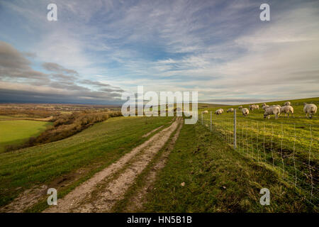 Sentier sur Wolstonbury Hill à la recherche vers les moulins à vent au-dessus de Jack et Jill Clayton dans le parc national des South Downs, Sussex, England, UK. Banque D'Images