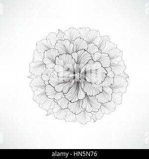 Floral background. carte de souhaits avec fleur. s'épanouir. frontière décoration douce fleur dahlia. vector illustration noir et blanc Illustration de Vecteur