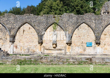 Ruines de l'abbaye d'Orval en Ardennes Belges. L'abbaye est également célèbre pour son jardin botanique et la bière trappiste Banque D'Images