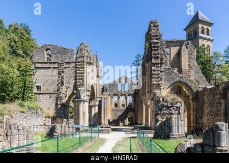 Ruines de l'abbaye d'Orval en Ardennes Belges. L'abbaye est également célèbre pour son jardin botanique et la bière trappiste Banque D'Images