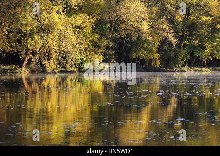 Automne arbres le long de la rivière de l'Iowa Banque D'Images