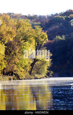 Automne arbres le long de la rivière de l'Iowa Banque D'Images