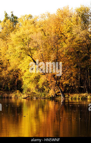 Automne arbres le long de la rivière de l'Iowa à Iowa City, Iowa, United States 3 de 3 Banque D'Images