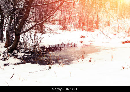 Paysage d'hiver. La neige et la saleté dans le parc. La décongélation des correctifs. L'effet de soleil doux Banque D'Images