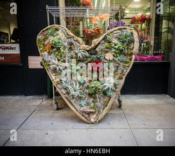 Un géant Saint-valentin coeur floral afficher composé de plantes grasses, Broméliacées, roses et autres plantes en face d'un fleuriste dans le quartier de Chelsea, New York le lundi, Février 6, 2017. La National Retail Foundation signale que la Saint-Valentin Dépenses prévues devraient être légèrement inférieures à celles de l'années et ne représente que la deuxième plongeon dans dépenses depuis 2010. (© Richard B. Levine) Banque D'Images