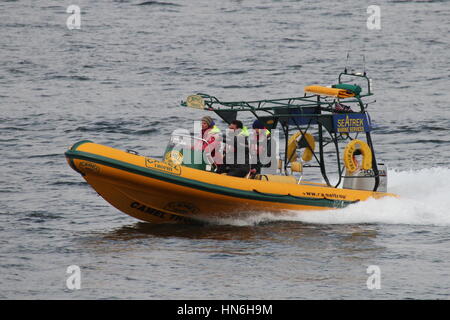 Un Ribtec 655 dans sandglow Camel Trophy livrée, exploité par Seatrek Marine Services, passant Cloch Gourock (point) dans le Firth of Clyde. Banque D'Images