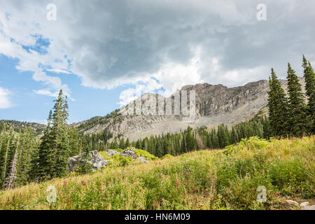 Nuage orageux dans les montagnes du bassin Albion et forêt alpine près de Salt Lake City, Utah Banque D'Images