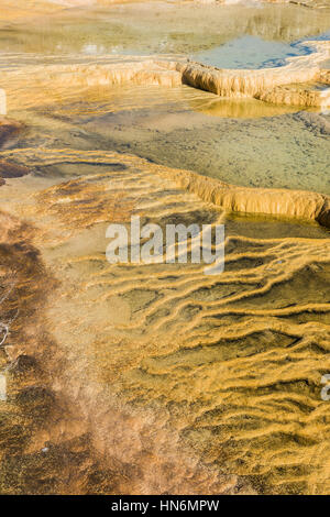 Terrasses en travertin Mammoth Hot Springs dans le Parc National de Yellowstone avec de la vapeur et de bassins Banque D'Images