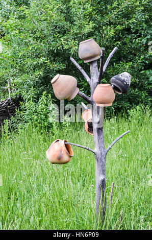 Des pots en terre cuite argile hanging on tree pour le séchage Banque D'Images