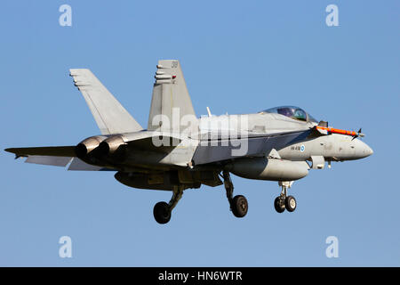 LEEUWARDEN, Pays-Bas - Apr 11, 2016 : l'Armée de l'Air Finlandaise F-18C Hornet l'atterrissage au cours de l'exercice Frisian Flag. L'exercice est considéré comme l'un des Banque D'Images