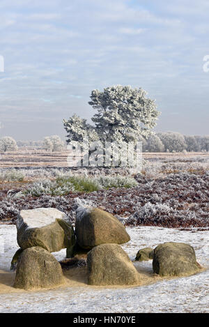 Partie d'une ancienne tombe mégalithique dans Drenthe, Pays-Bas Banque D'Images