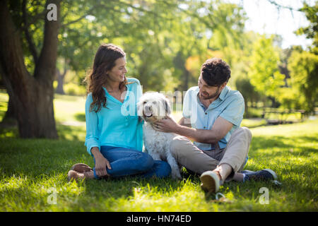 Heureux couple avec chien dans une journée ensoleillée sur le parc Banque D'Images