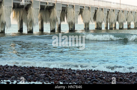 Articles surgelés, jour de grand froid, congelé, gelée, recouverte de glace Banque D'Images
