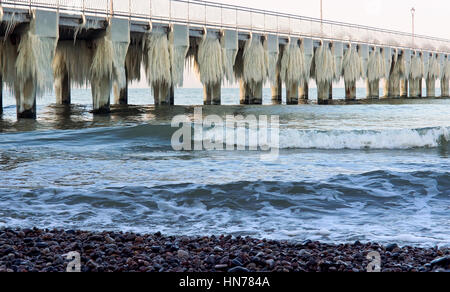 Articles surgelés, jour de grand froid, congelé, gelée, recouverte de glace Banque D'Images