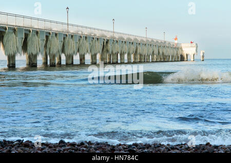 Articles surgelés, jour de grand froid, congelé, gelée, recouverte de glace Banque D'Images