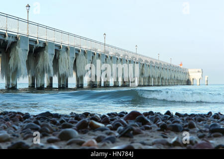Articles surgelés, jour de grand froid, congelé, gelée, recouverte de glace Banque D'Images