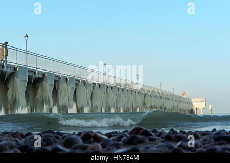 Articles surgelés, jour de grand froid, congelé, gelée, recouverte de glace Banque D'Images