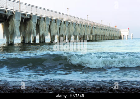 Articles surgelés, jour de grand froid, congelé, gelée, recouverte de glace Banque D'Images