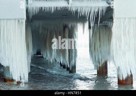Articles surgelés, jour de grand froid, congelé, gelée, recouverte de glace Banque D'Images